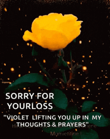 Sympathy Sorry For Your Loss GIF - Sympathy Sorry For Your Loss Flower GIFs