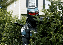 a man in a ninja costume is hiding behind a hedge