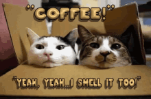 Coffee I Smell It Too GIF - Coffee I Smell It Too GIFs