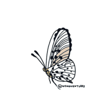 butterfly freedom
