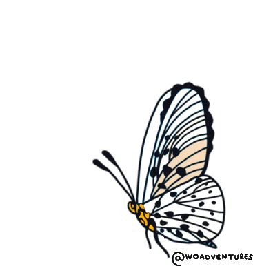 Butterfly Freedom Sticker