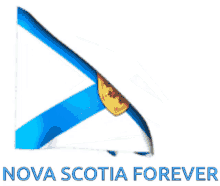 Nova Scotia Flag GIF - Nova Scotia Flag Flying GIFs