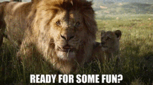 The Lion King Mufasa GIF - The Lion King Mufasa Ready For Some Fun GIFs