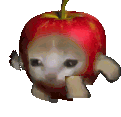Sad Apple Sticker - Sad Apple Cat Stickers