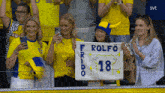 Fridolina Rolfö Football Fans GIF - Fridolina Rolfö Football Fans Supporters GIFs