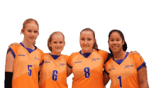 holyoke belfeld meisjesb1 volleybal volleyball