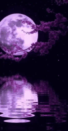 Purple Moon GIF - Purple Moon Water GIFs
