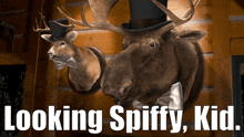 Montanas Moose GIF - Montanas Moose Looking Spiffy Kid GIFs