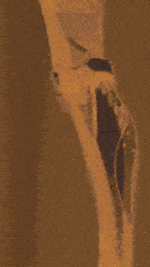 a close up of a person 's leg with a shoe that has the letter g on it
