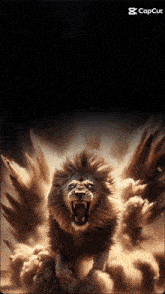 a picture of a lion on a black background with the words capcut below it