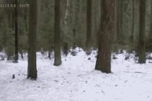 No Big Deal GIF - Front Tuck Front Flip Perfect Landing GIFs