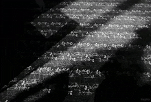 a black and white image with the word kepler on the bottom right