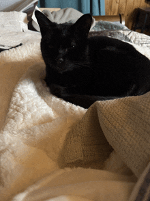 a black cat laying on a white blanket