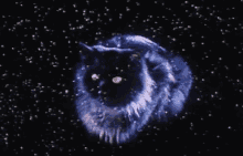 Space Kitty Cat GIF