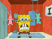 a cartoon of spongebob lifting a barbell with the words im ready behind him