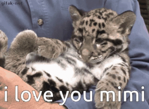 I Love Mimi I Love You Mimi GIF - I Love Mimi I Love You Mimi GIFs