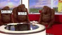 three orangutans are sitting at a table with shrimp and whad written on it .