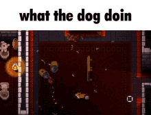 Enter The Gungeon Etg GIF - Enter The Gungeon Etg What The Dog Doin GIFs