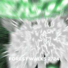 Forestwalks Forestwlkr GIF - Forestwalks Forestwlkr GIFs