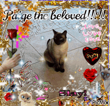 a picture of a cat with the words " paige the beloved " on it