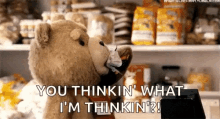 Candy Funny GIF - Candy Funny Ted GIFs