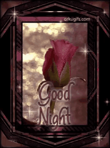 Good Night Sweet Dreams GIF - Good Night Sweet Dreams Rose GIFs