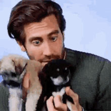 Jake Gyllenhaal Cute GIF - Jake Gyllenhaal Cute Pup GIFs