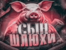 a picture of a pig with the words `` сын шлюхи '' written in red letters .