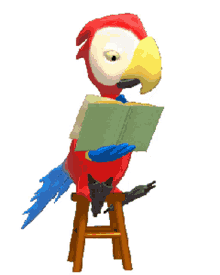 eka bird parrot reading