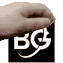 bg logo petting
