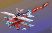 happy birthday cat plane