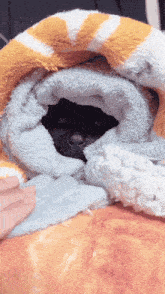 Cat Bite Cute Cat GIF - Cat Bite Cute Cat Blanket GIFs