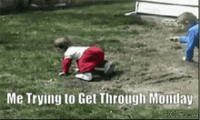 Dogs Tackle GIF - Dogs Tackle Kid GIFs