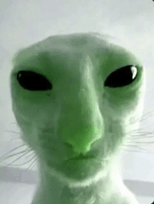 Alien Cat GIF - Alien cat - Discover & Share GIFs