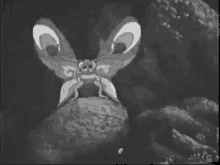 Black And White Ghost Butterfly GIF - Black And White Ghost Butterfly Sudsakorn1979 GIFs