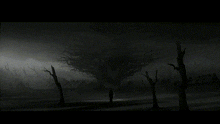 a black and white photo of a forest with trees and silhouettes of people