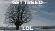 Tree Wree GIF - Tree Wree Braixen GIFs