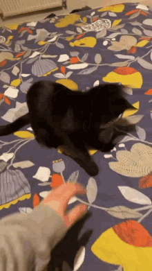 Esme Black Cat GIF - Esme Black Cat Jump GIFs