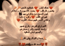 Nasserq Heart GIF - Nasserq Nasser Heart GIFs