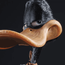 Daffy Duck Daffy GIF
