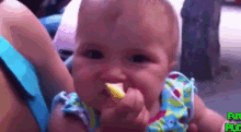 Baby Eating GIF - Baby Eating Lemon GIFs