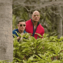 The Rock Welcome To Baywatch GIF
