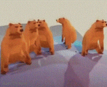 Bear Bears GIF