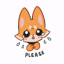 fox orange cute please beg
