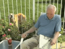 Old Man Frustrated GIF - Old Man Frustrated Dog GIFs