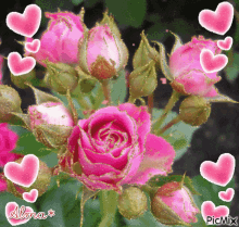 Bendiciones Infinitas Rosas GIF - Bendiciones Infinitas Rosas Flowers GIFs