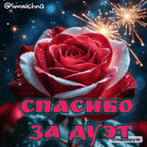 a picture of a red rose with the words " спасибо за друг " on it