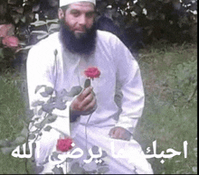 a man with a beard is sitting in the grass holding a red rose .