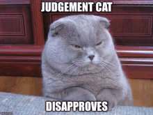 Judgement Cat GIF - Judgement Cat Judgementcat GIFs
