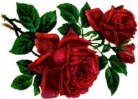 Rose Sticker - Rose Stickers